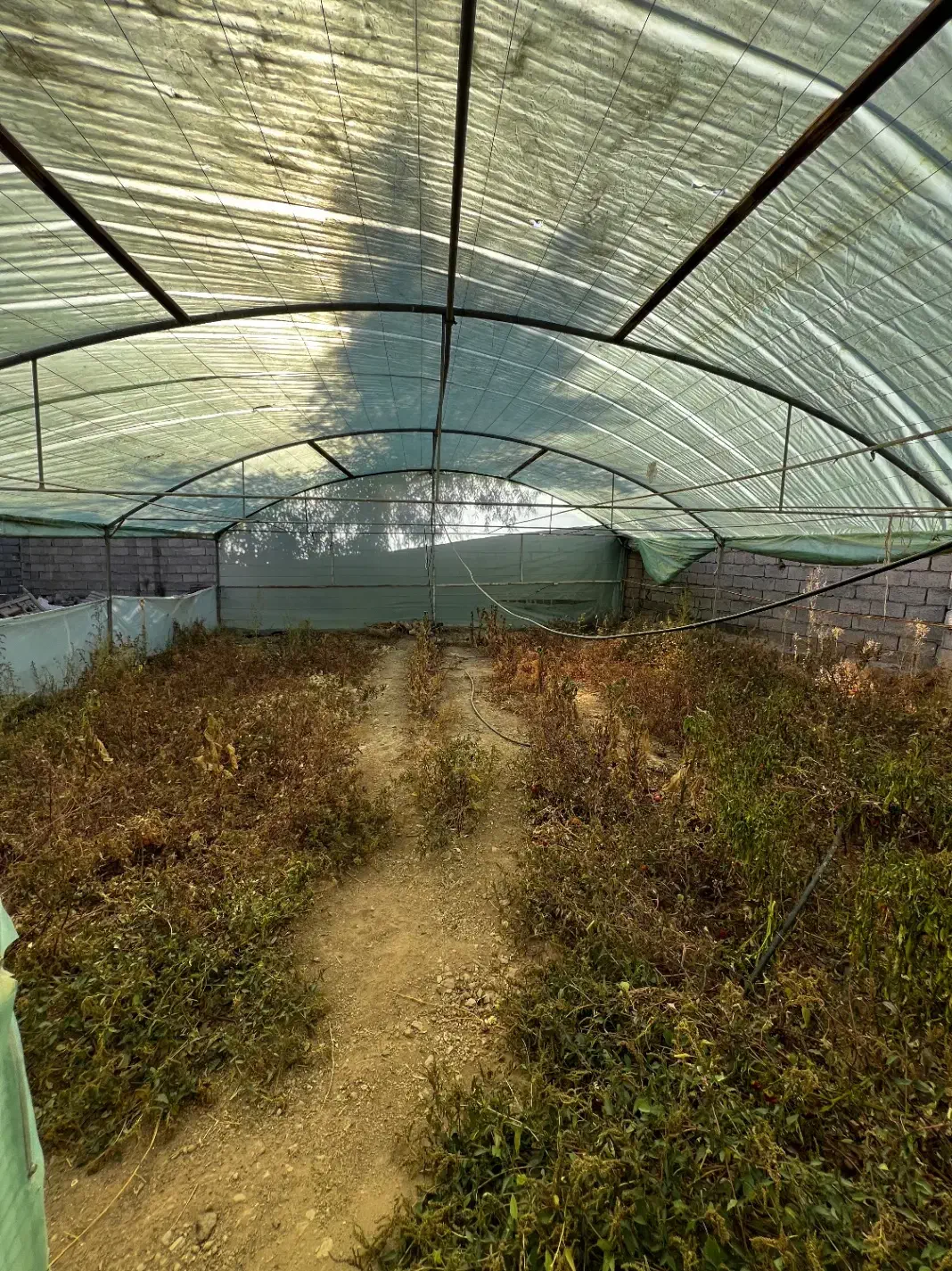 اجاره مغازه و زمین|اجارهٔ مغازه و غرفه|ماهان, |دیوار