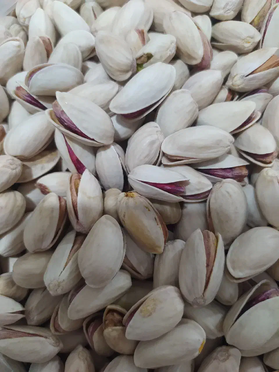 پسته صادراتی ایلخچی|خوردنی و آشامیدنی|تهران, شهرک شریعتی|دیوار