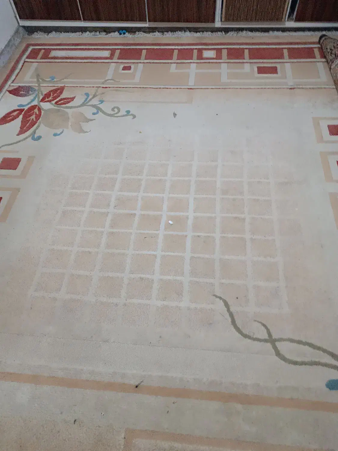 دو عدد قالی ۱۲ متری اصلی|فرش|اهواز, کوی مهدیس|دیوار