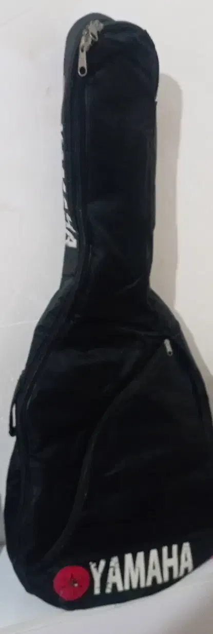 کیس گیتار کلاسیکـ|گیتار، بیس، امپلیفایر|بندرعباس, |دیوار