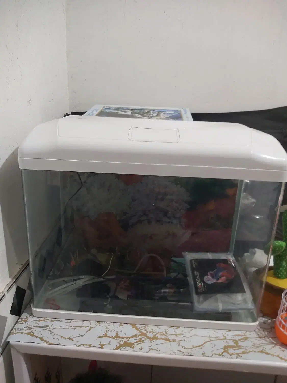 میز و آکواریوم|ماهی|سعدآباد, |دیوار