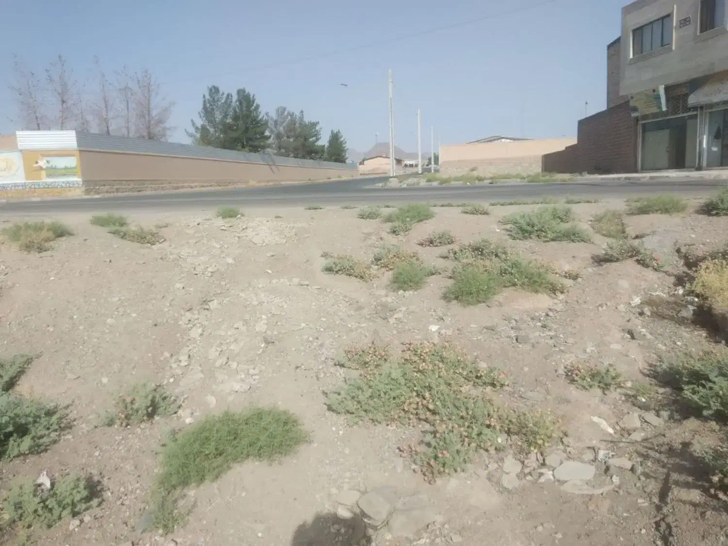 زمین|فروش زمین و ملک کلنگی|خوسف, |دیوار