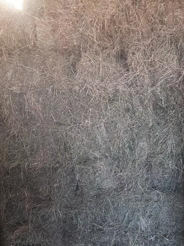 یونجه۲۰تن|عمدهفروشی|مراغه, |دیوار