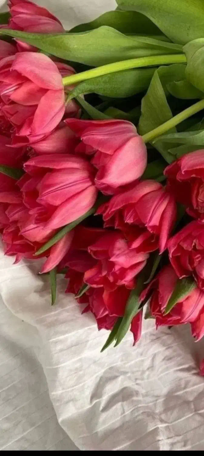 نیروی نظافت و خدمات|خدمات نظافت|سرپل ذهاب, |دیوار