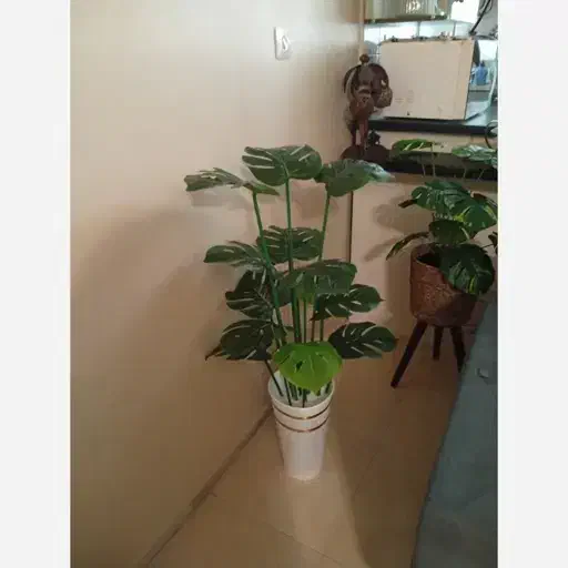 گیاه مصنوعی|گل مصنوعی|بندرعباس, |دیوار