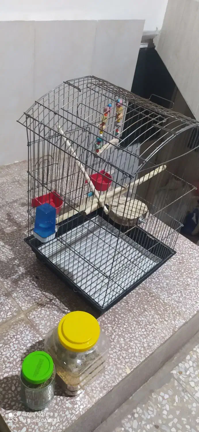 قفس|لوازم جانبی حیوانات|کرمانشاه, |دیوار