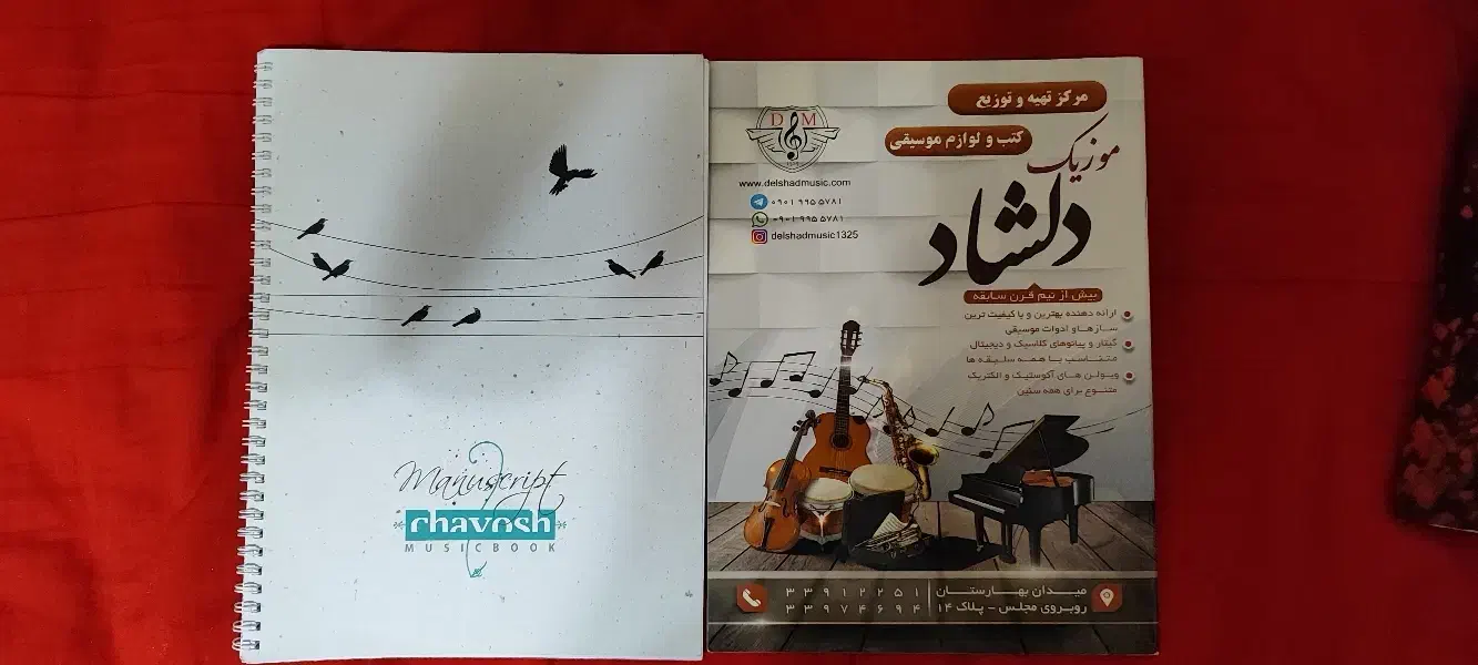 ویالون مدل TF student|ویولن|تهران, بنیهاشم|دیوار