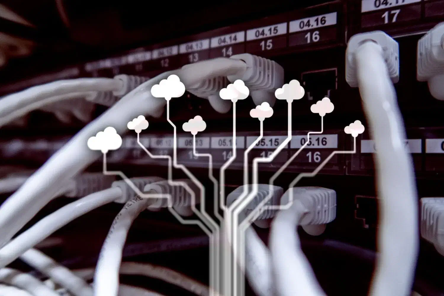 دوربین مداربسته و پسیوشبکه|خدمات پیشه و مهارت|اهواز, سپیدار|دیوار