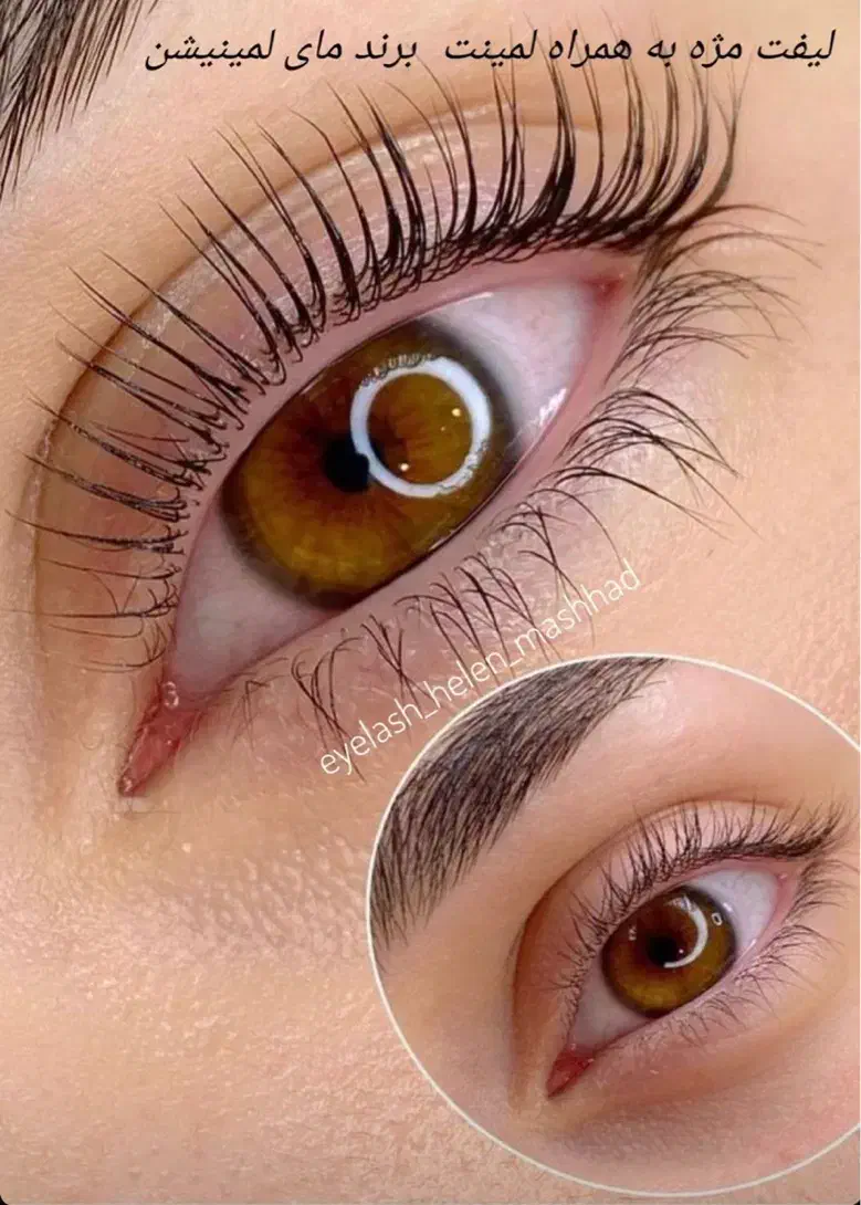 آموزش تخصصی لیفت و لمینت مژه و ابروتخفیف ویژه یلدا|خدمات آموزشی|رفسنجان, |دیوار