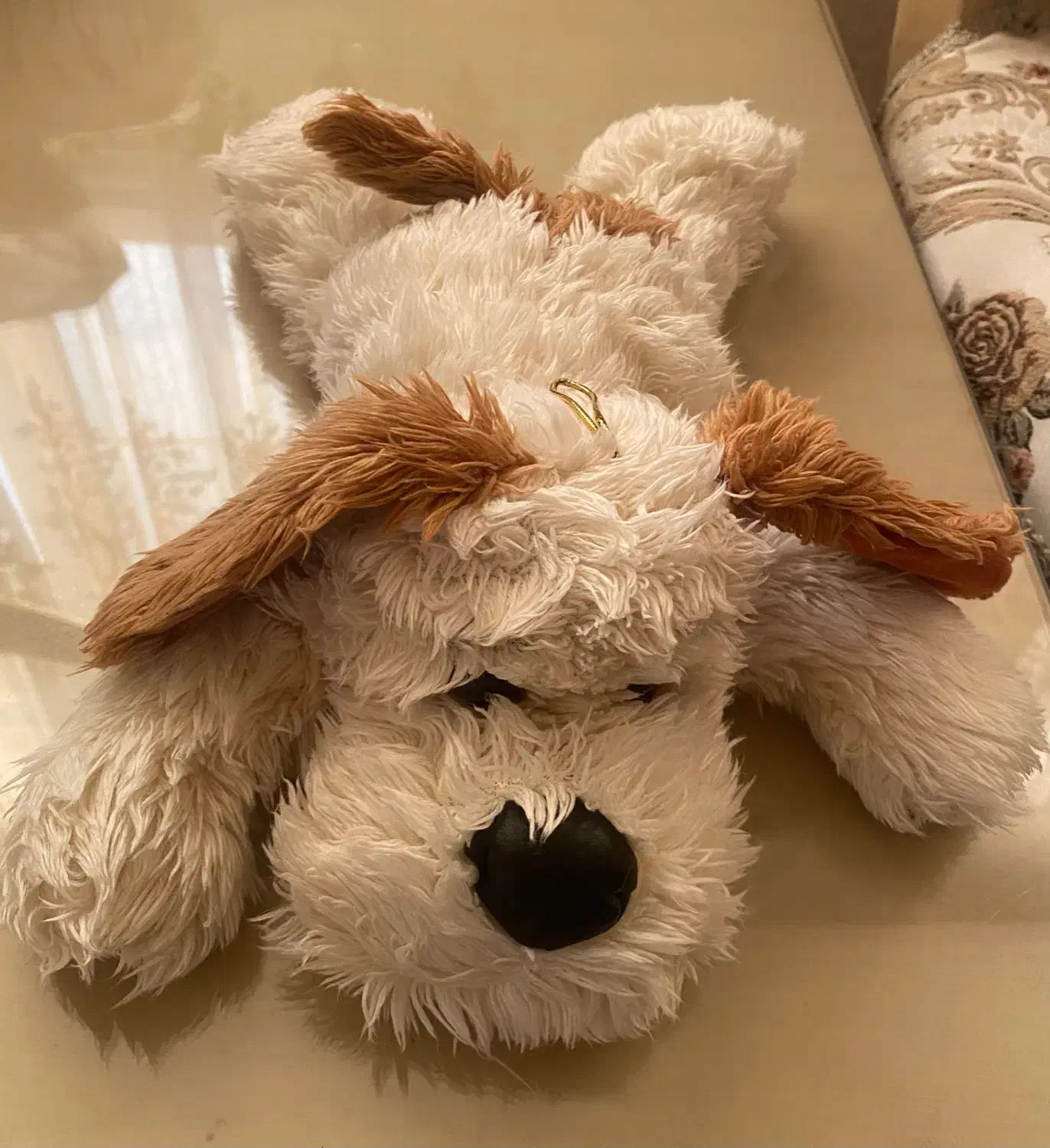 عروسک|اسباب‌‌بازی|رودسر, |دیوار