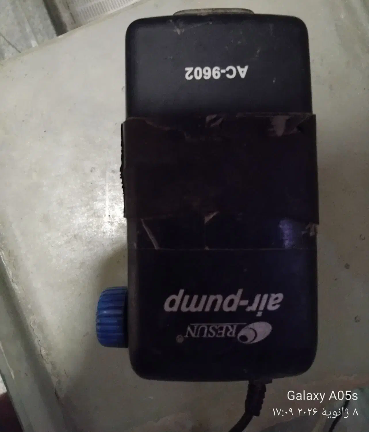 آکوا‌ریو‌م|ماهی|گرگان, |دیوار