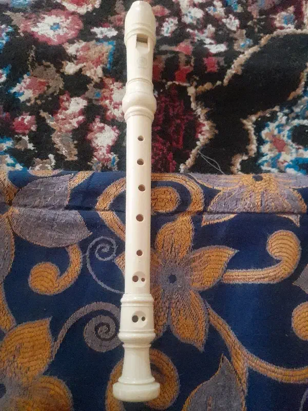 فلوت یاماها|سازهای بادی|اهواز, منبع اب|دیوار