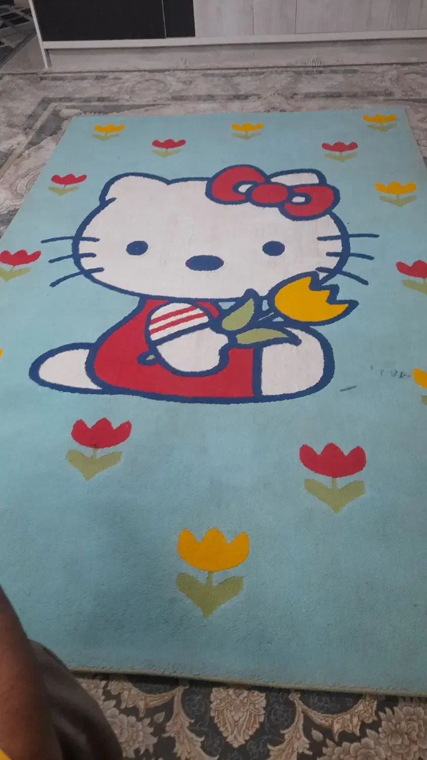 گلیم اتاق خواب|گلیم، جاجیم، گبه|بیرجند, |دیوار