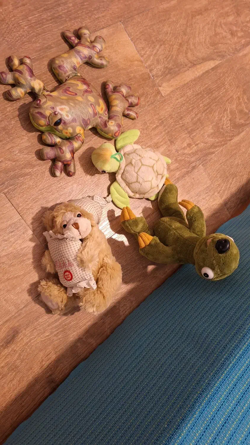 عروسکهای پولیشی|اسباب‌بازی بچه|بابلسر, |دیوار