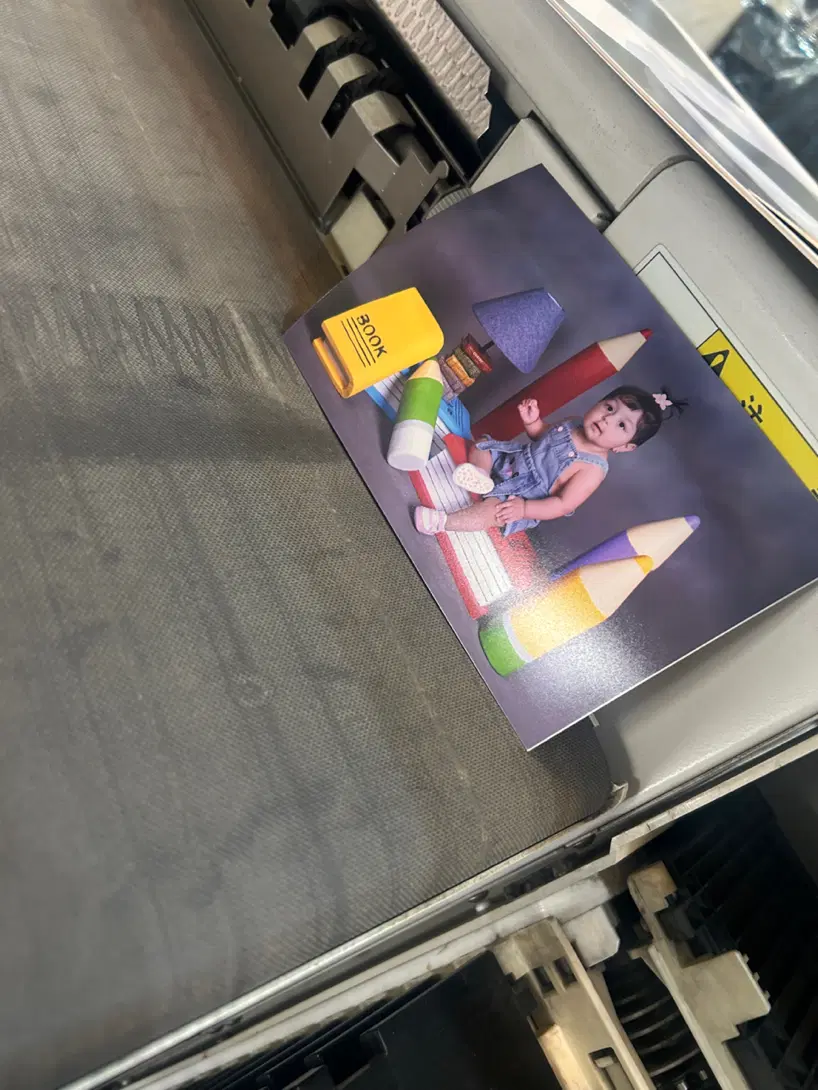 عکس روی شاسی و قاب|تابلو، نقاشی، عکس|تهران, کرمان|دیوار