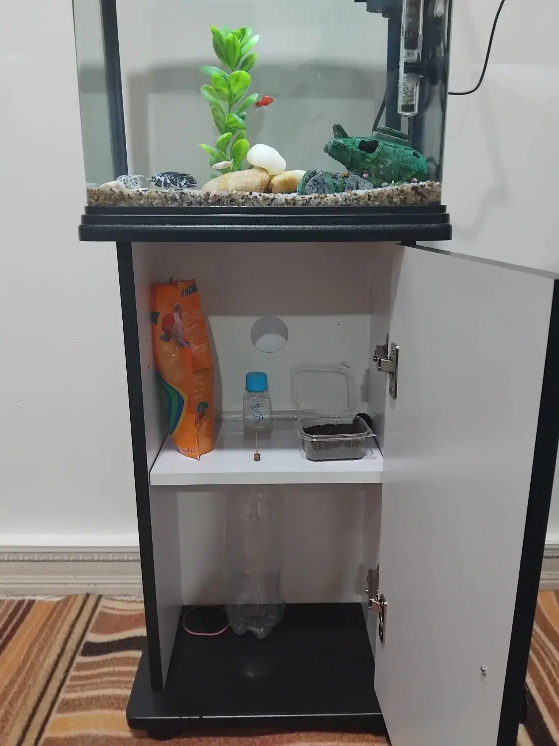 آکواریوم|ماهی|رامهرمز, |دیوار