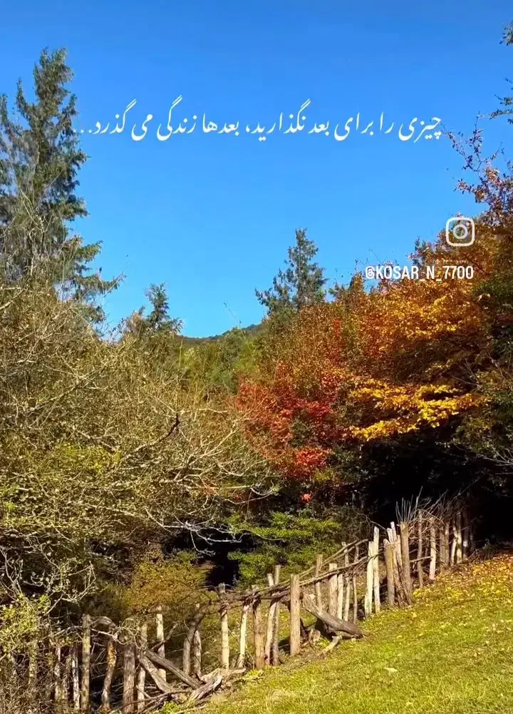 لطفا راهنمایی|فعالیت داوطلبانه|ساری, |دیوار