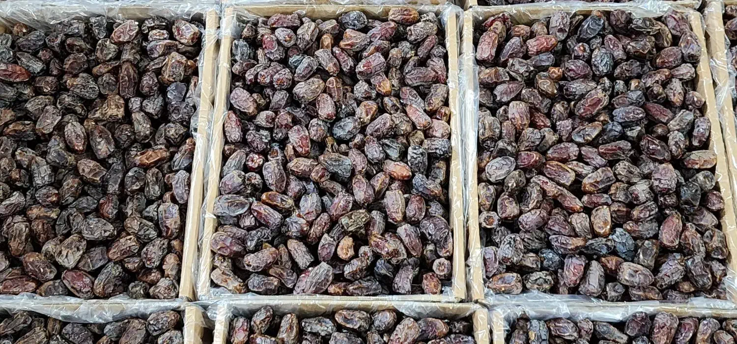 فروش خرما بصورت عمده|عمدهفروشی|برازجان, |دیوار