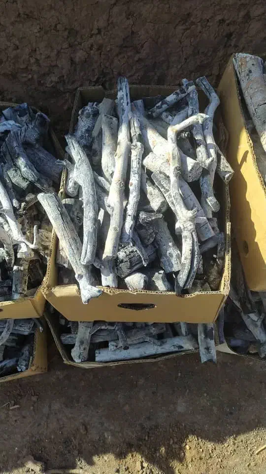 پخش زغال پسته|عمدهفروشی|تهران, ستارخان|دیوار