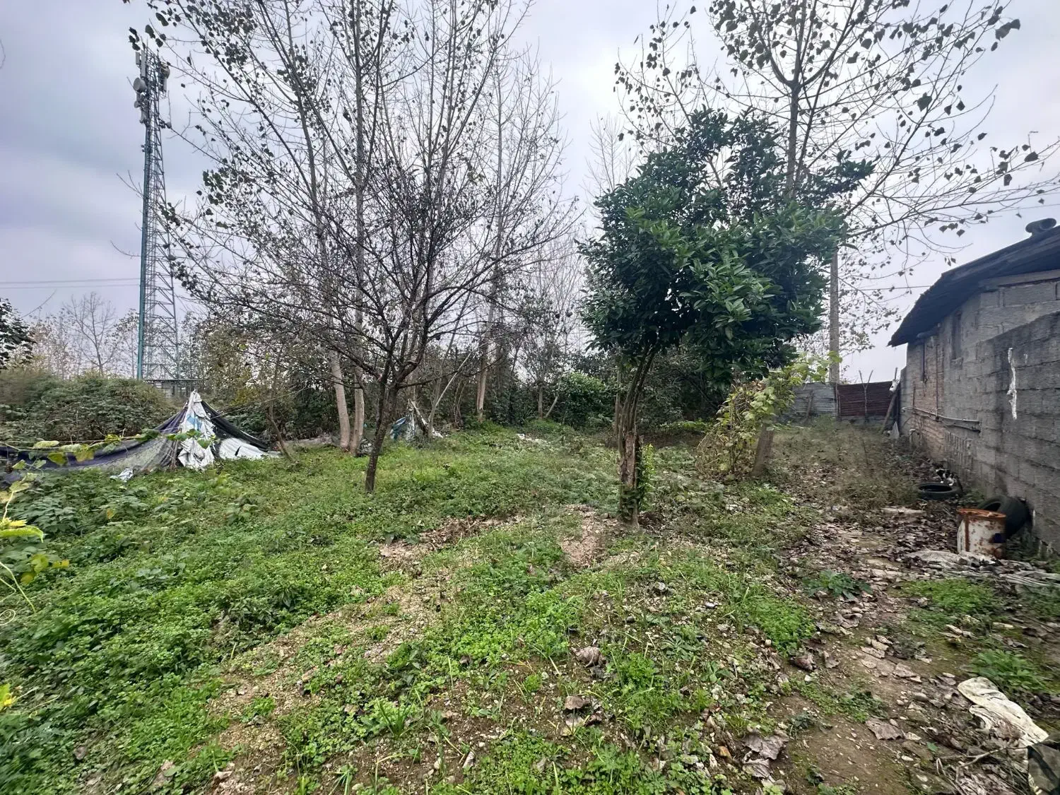 فروش ویلا کلنگی  سند تک برگ|فروش خانه و ویلا|رشت, پسیخان|دیوار