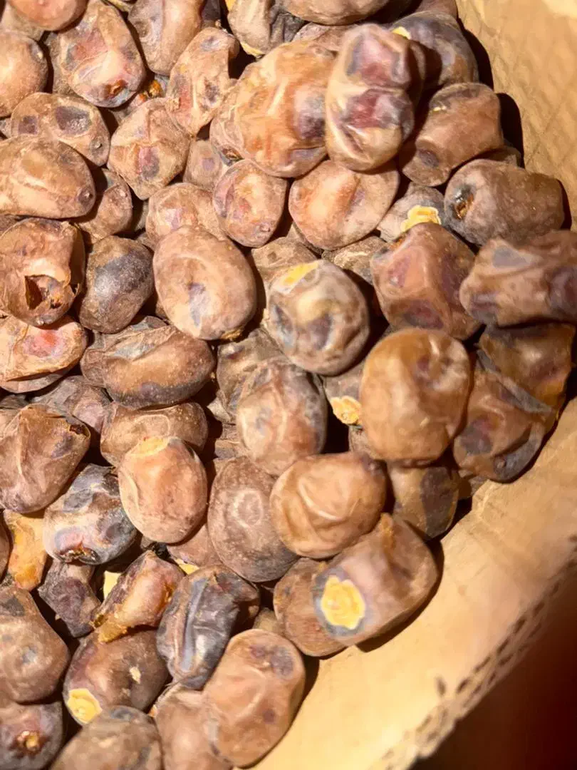 با سلام فروش خرمای برحی|عمده‌فروشی|شادگان, |دیوار