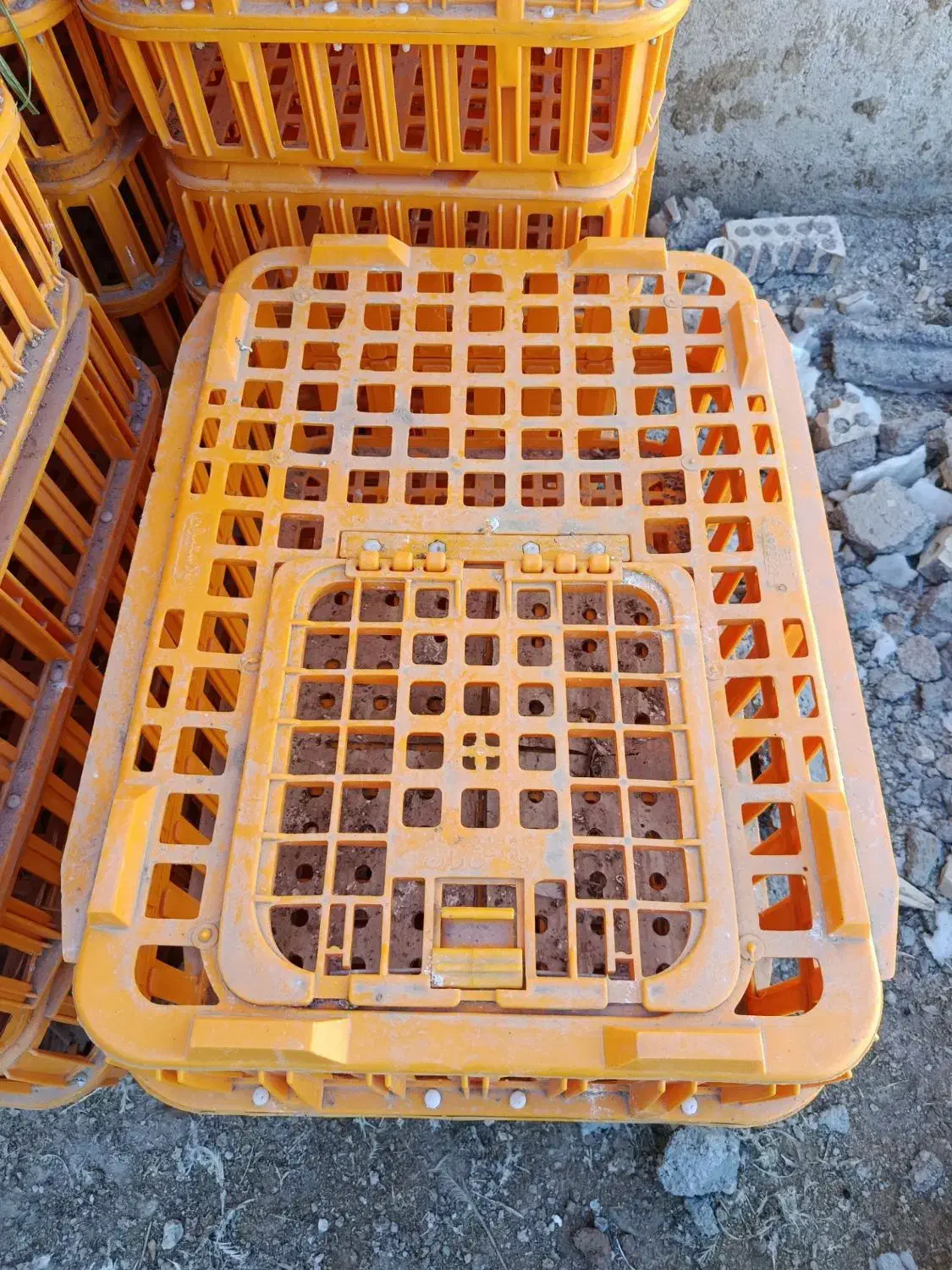 سبد حمل مرغ زنده|لوازم جانبی حیوانات|بجنورد, |دیوار