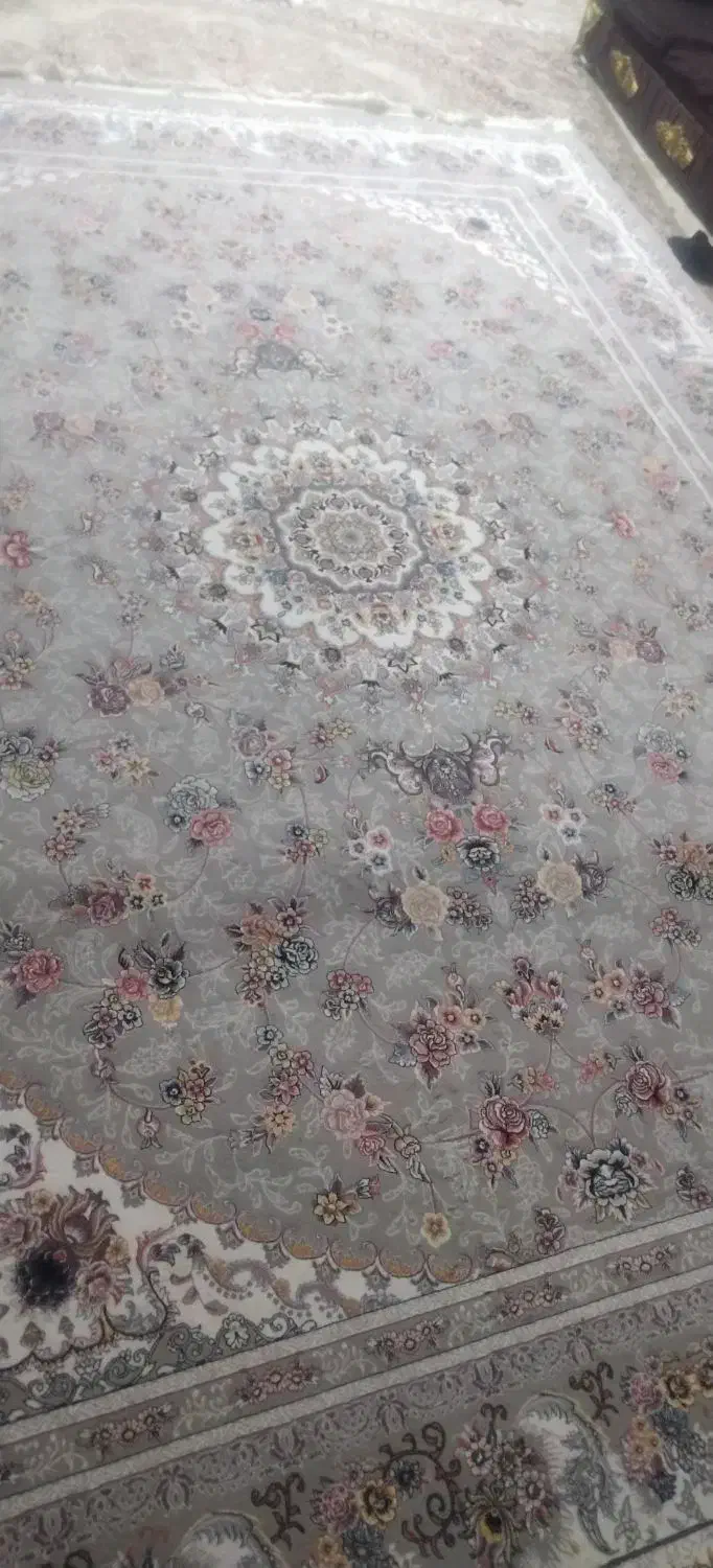 فرش 12 متری|فرش|گلبهار, نوبهار|دیوار