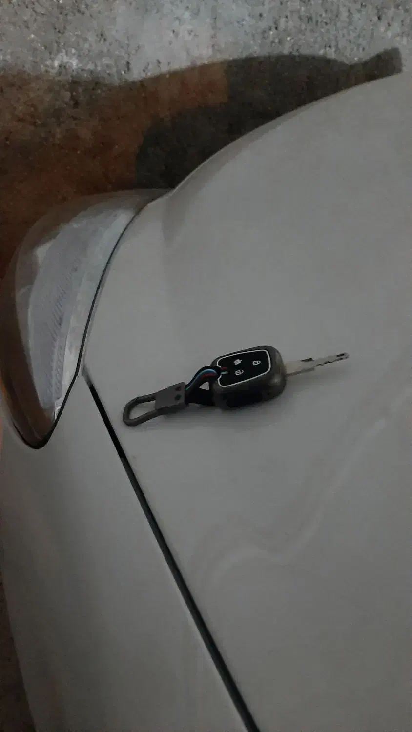 معاوضه ۲۰۷ tu5 ارتقایافته سقف شیشه با پارسtu5 صفر|خودرو سواری و وانت|رونیز, |دیوار