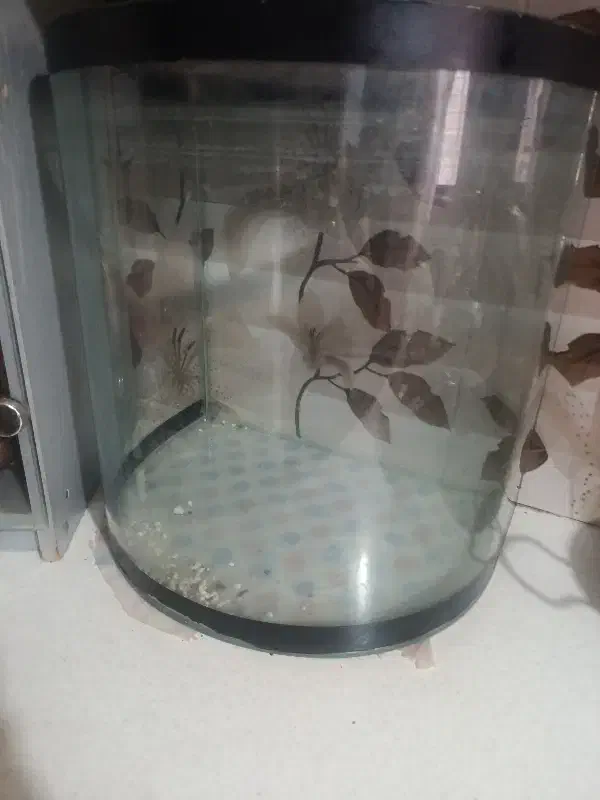 اکواریم|ماهی|مشهد, کارمندان دوم|دیوار