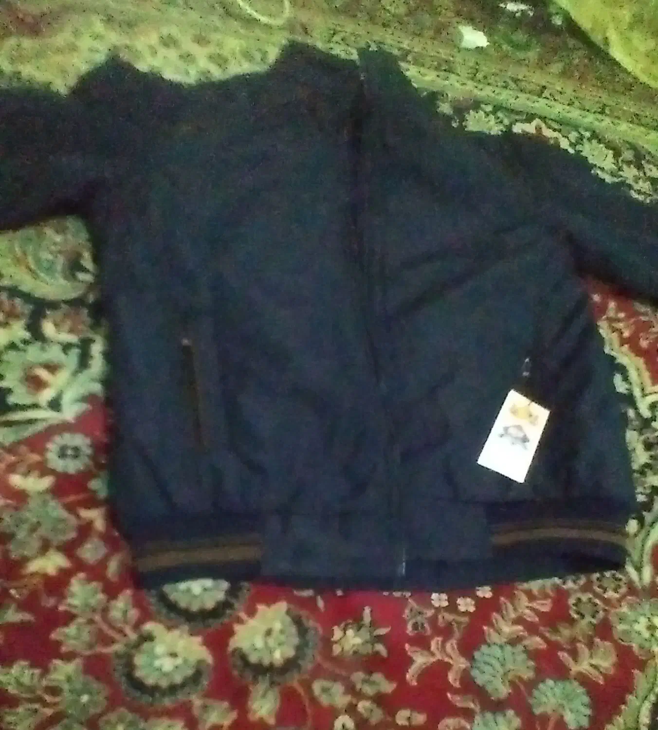 کاپشن مردانه|لباس|یاسوج, |دیوار