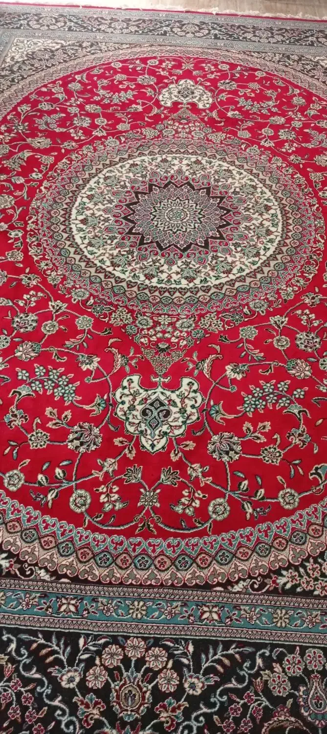 قالی|فرش|بابلسر, |دیوار