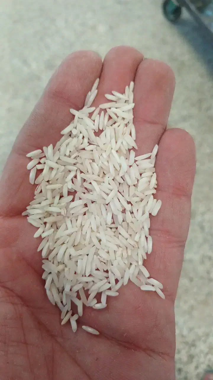 برنج و خرده برنج فجر شمالی درجه یک به شرط پخت|خوردنی و آشامیدنی|شیراز, تحویلی|دیوار