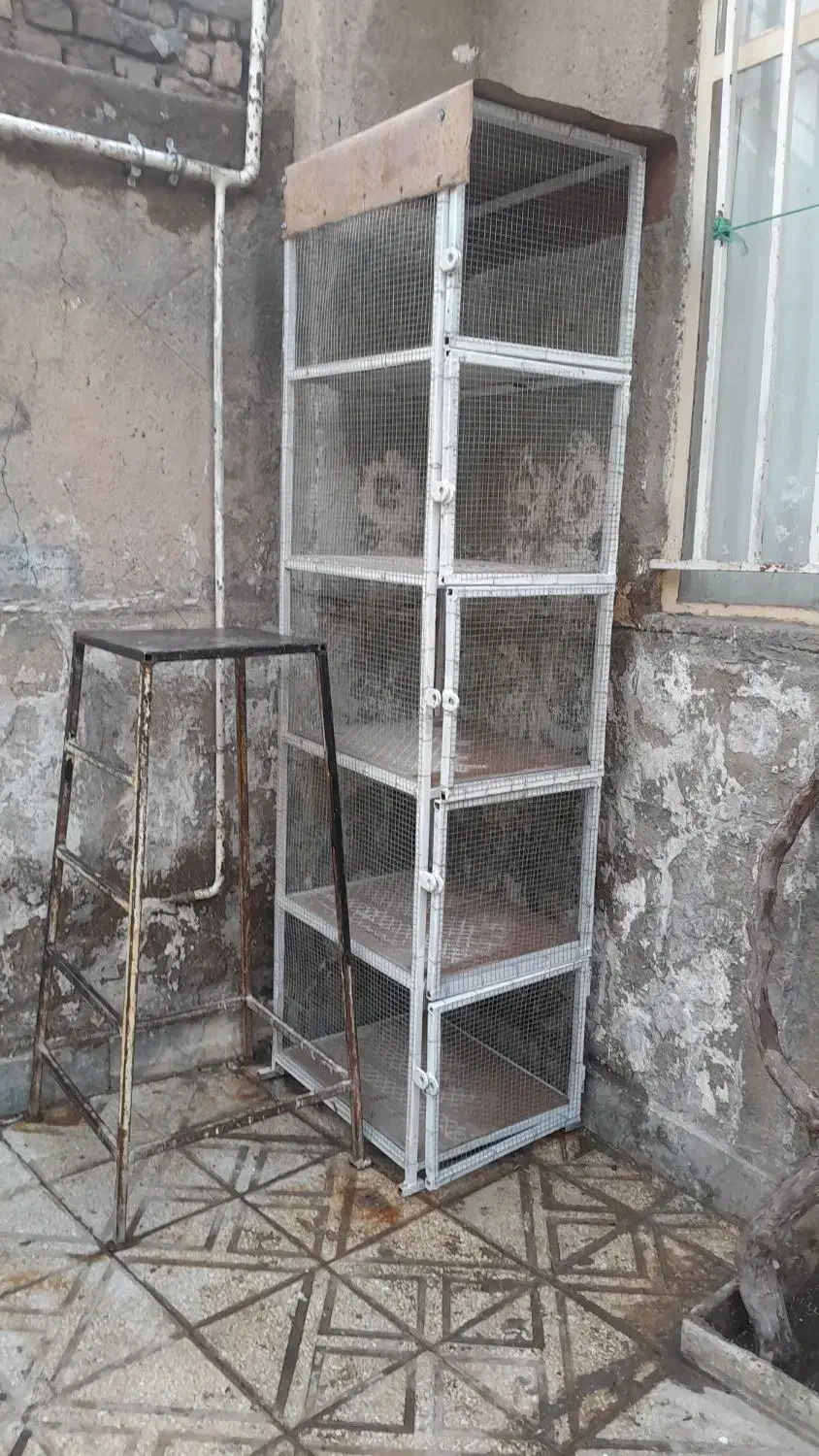 فروشی جفتی محکم تمیز،تورریز بافت|لوازم جانبی حیوانات|بوئین زهرا, |دیوار