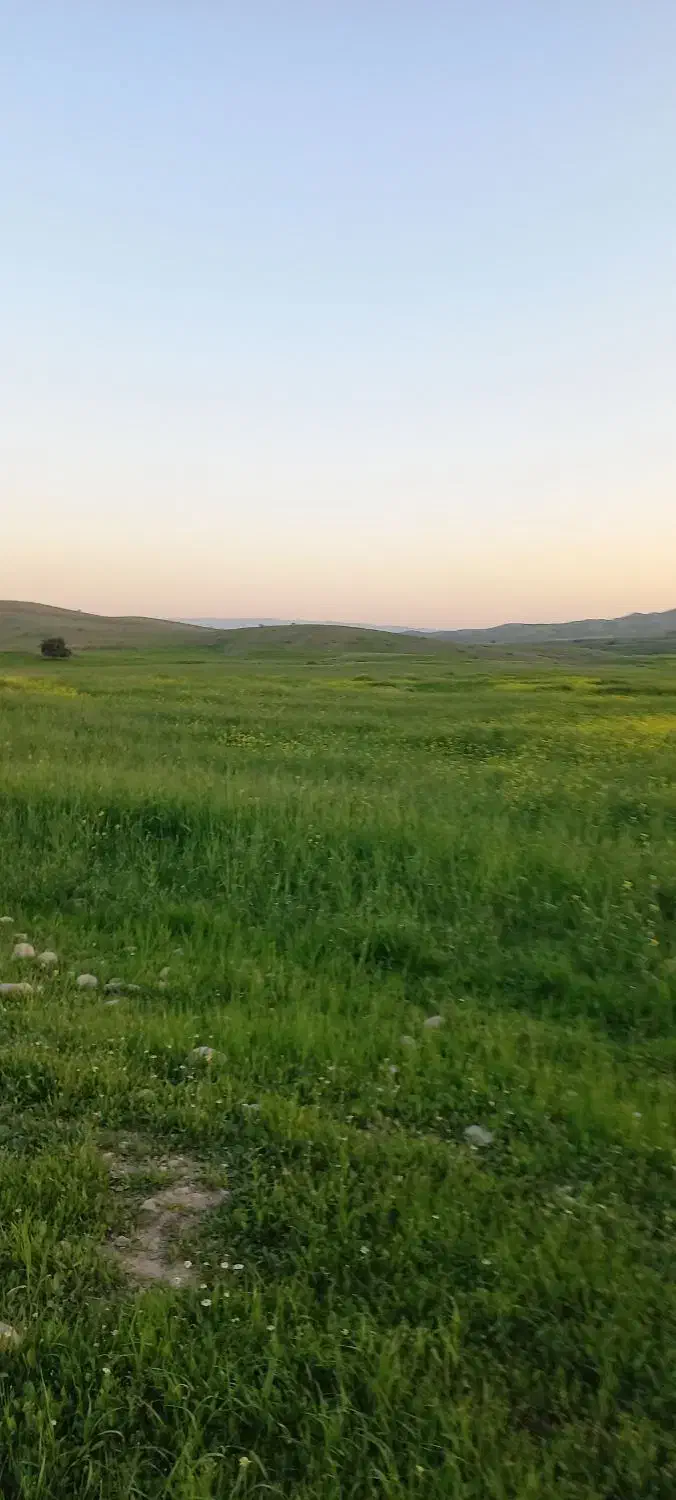 ب یک خانم جهت ادمینی|استخدام رایانه و فناوری اطلاعات|دزفول, |دیوار