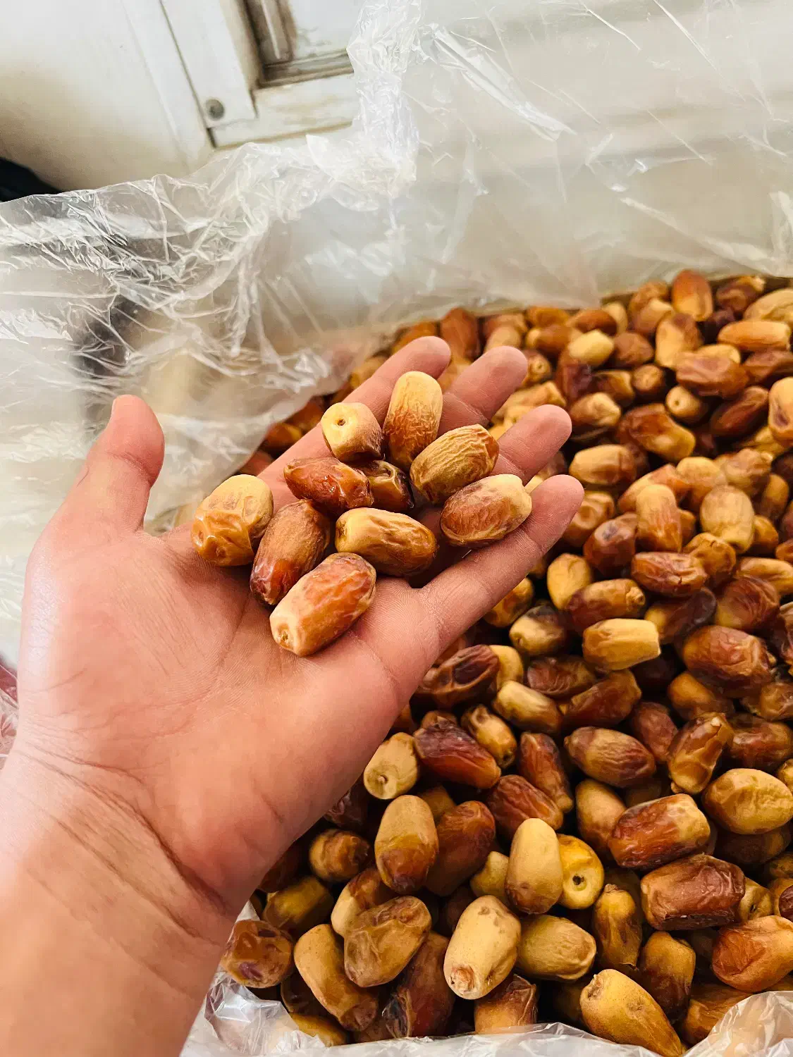 خرمای زاهدی ،خرما|عمده‌فروشی|تهران, شهرک ولیعصر جنوبی|دیوار