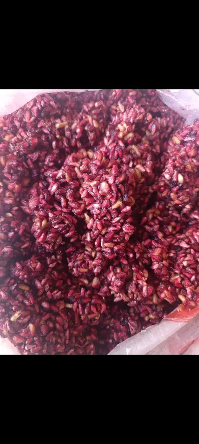 ناردونه قرمز  و بنه سبز|خوردنی و آشامیدنی|شیراز, میانرود|دیوار