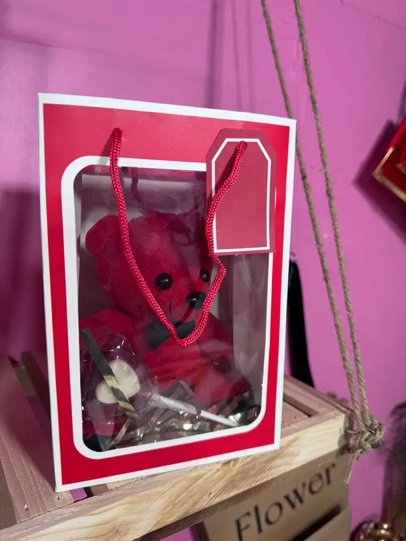 هدیه ولنتاین عروسک|گل و گیاه طبیعی|آمل, |دیوار