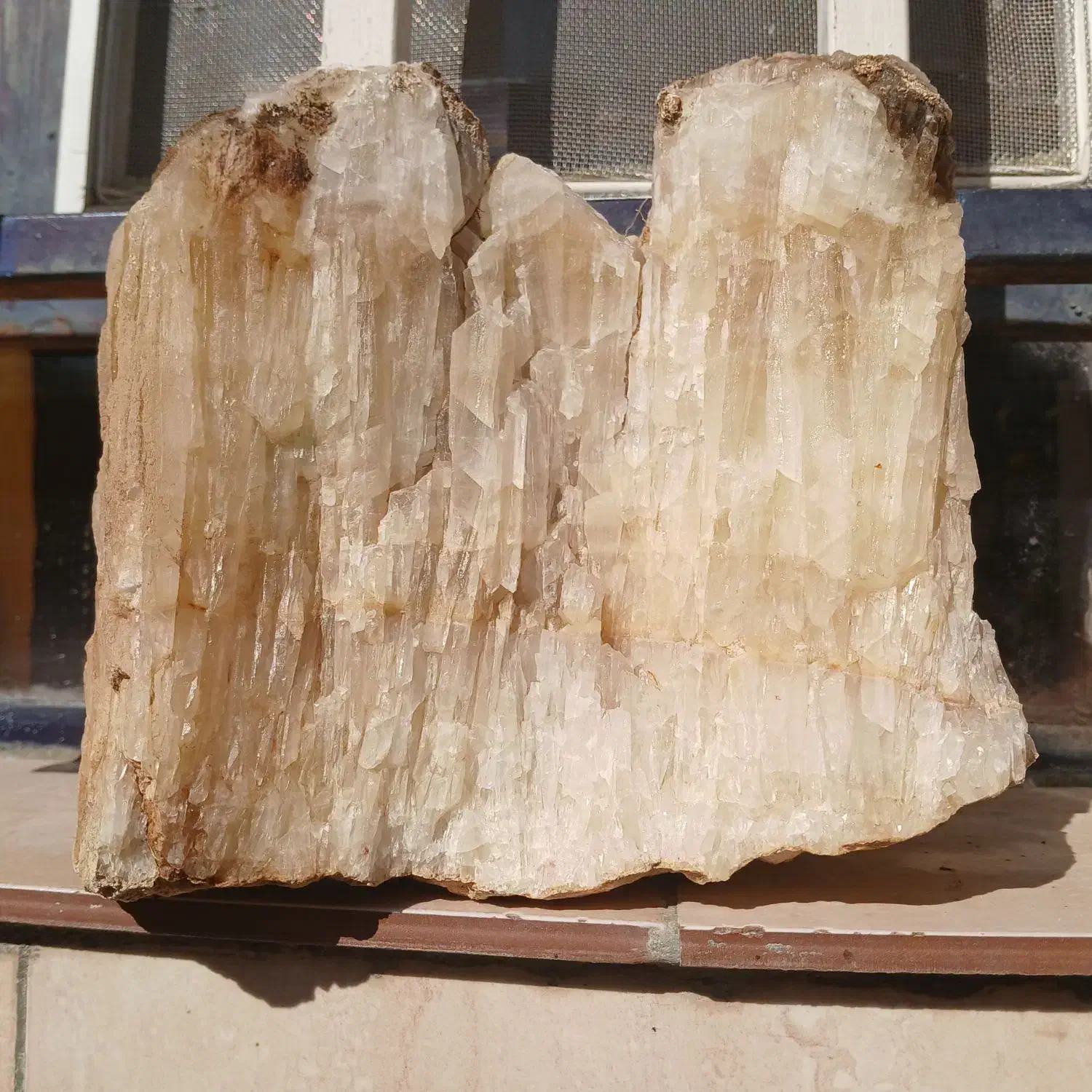 سنگ اکواریوم|ماهی|بروجرد, |دیوار