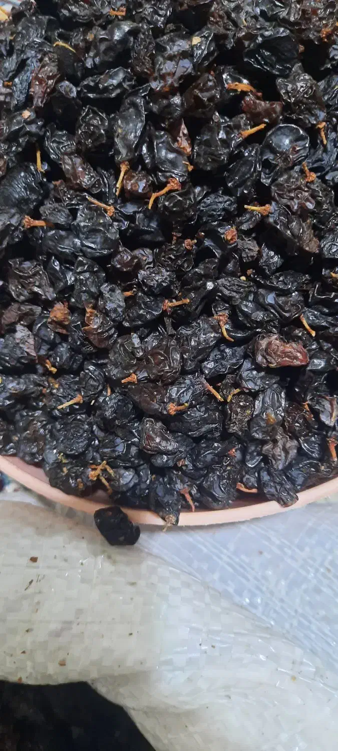 مویز آفتاب خشک|خوردنی و آشامیدنی|پاکدشت, پاکدشت (مامازند)|دیوار