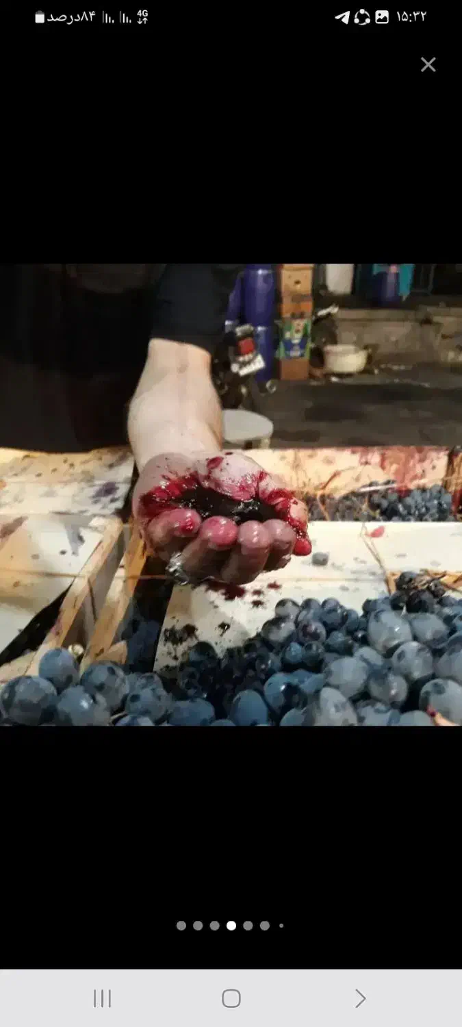 خریدار نقدی انگور سیاه|خدمات باغبانی و درختکاری|کامیاران, |دیوار