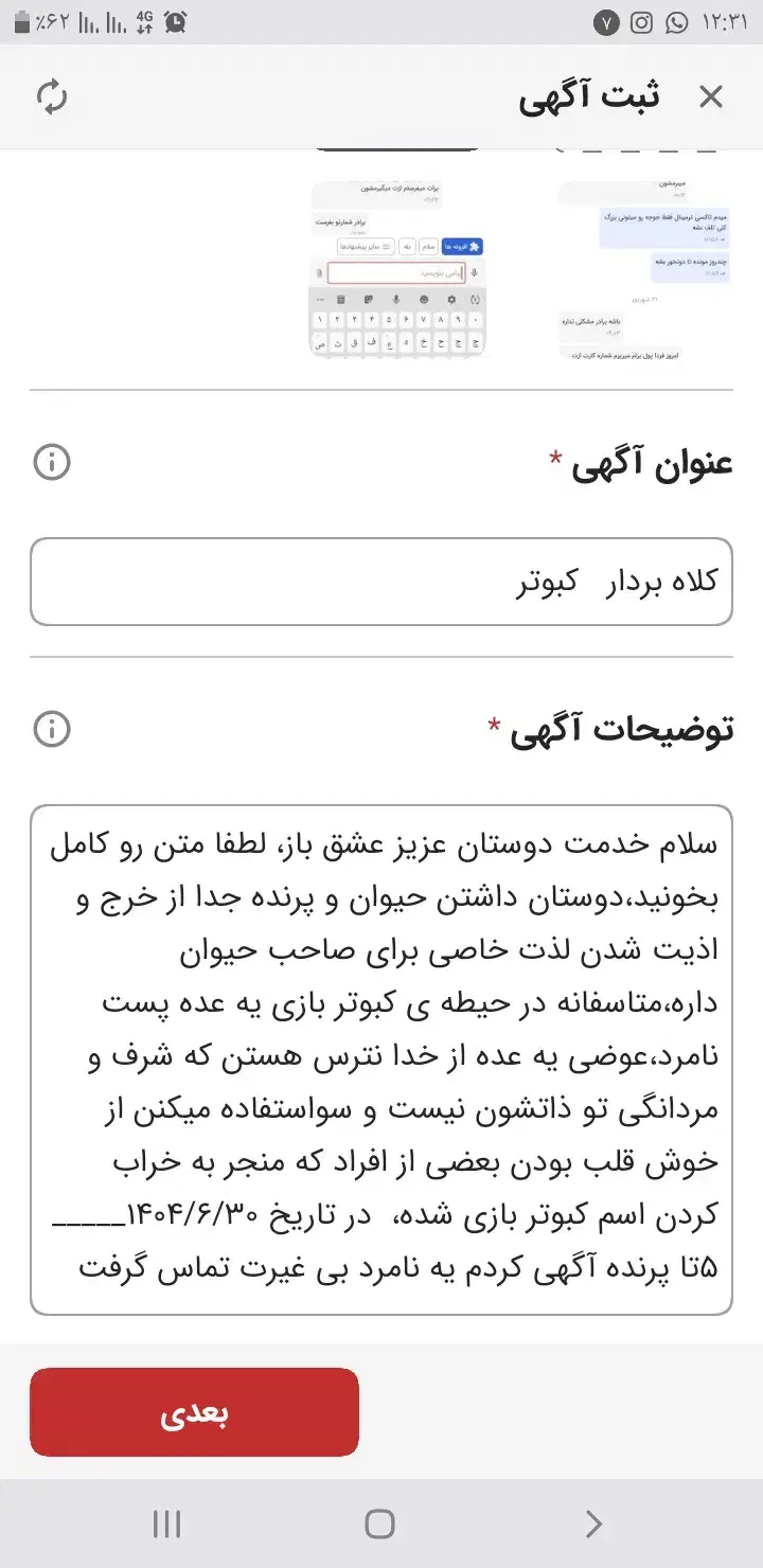 مرغ عشق کبوتر گمشده|حیوانات|رامهرمز, |دیوار