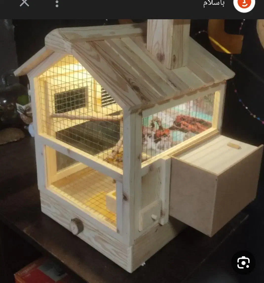 قفس پرنده|لوازم جانبی حیوانات|سبزوار, هفت تیر|دیوار
