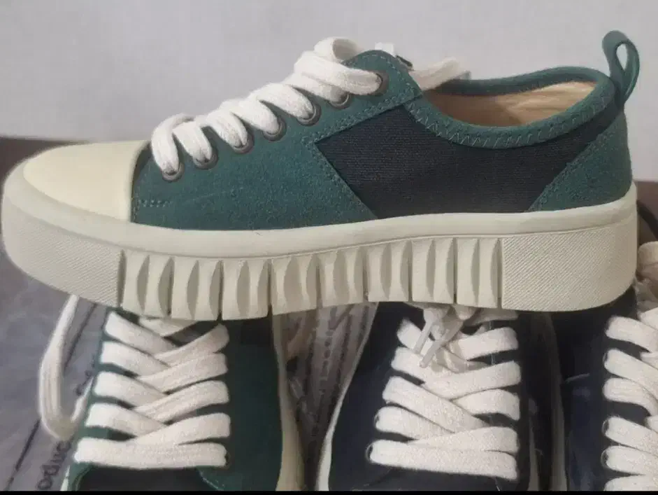 کفش اسپورت|کیف، کفش، کمربند|فولادشهر, C4|دیوار