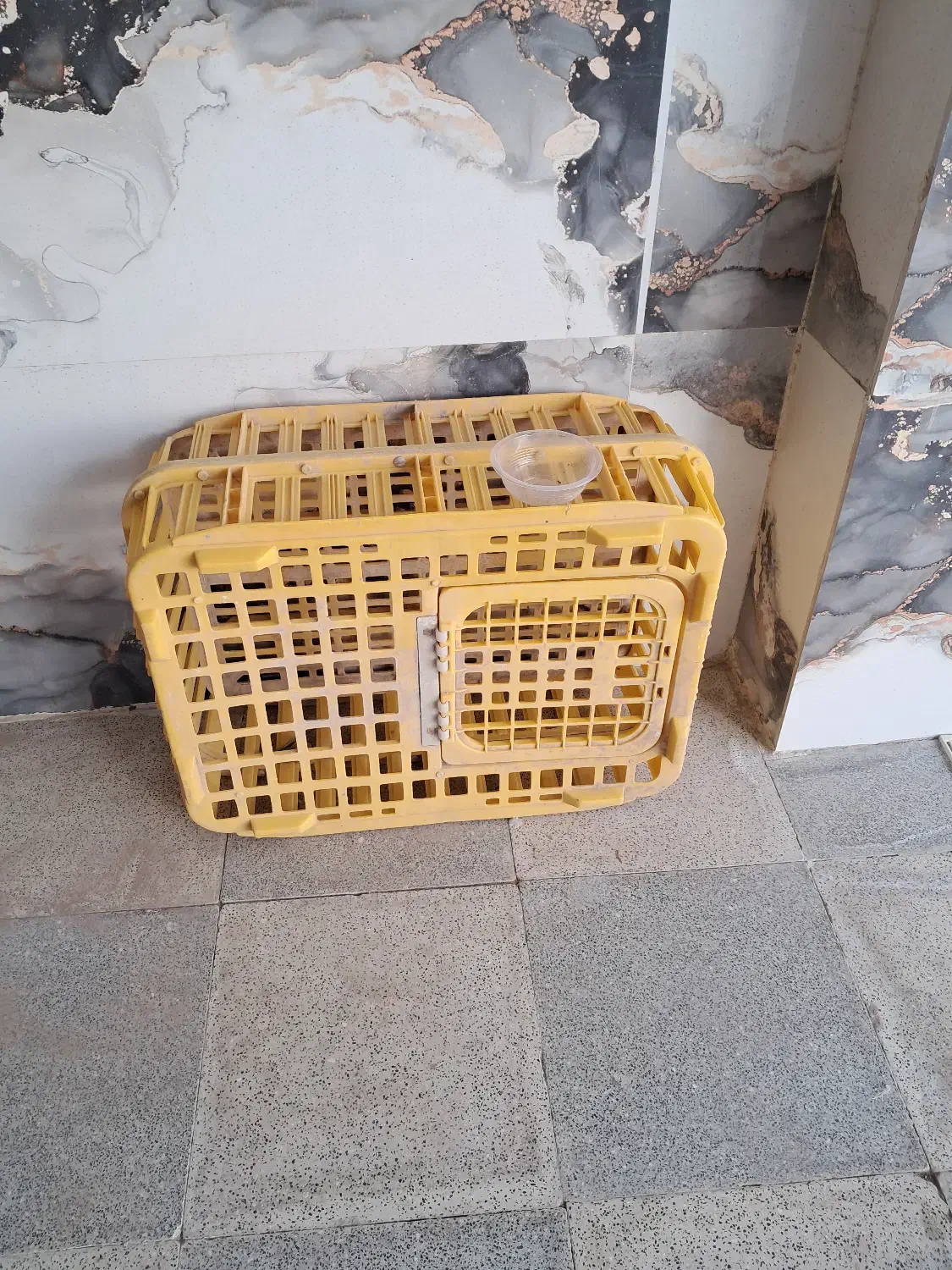 سبد مرغ|لوازم جانبی حیوانات|اصفهان, آهنگران|دیوار