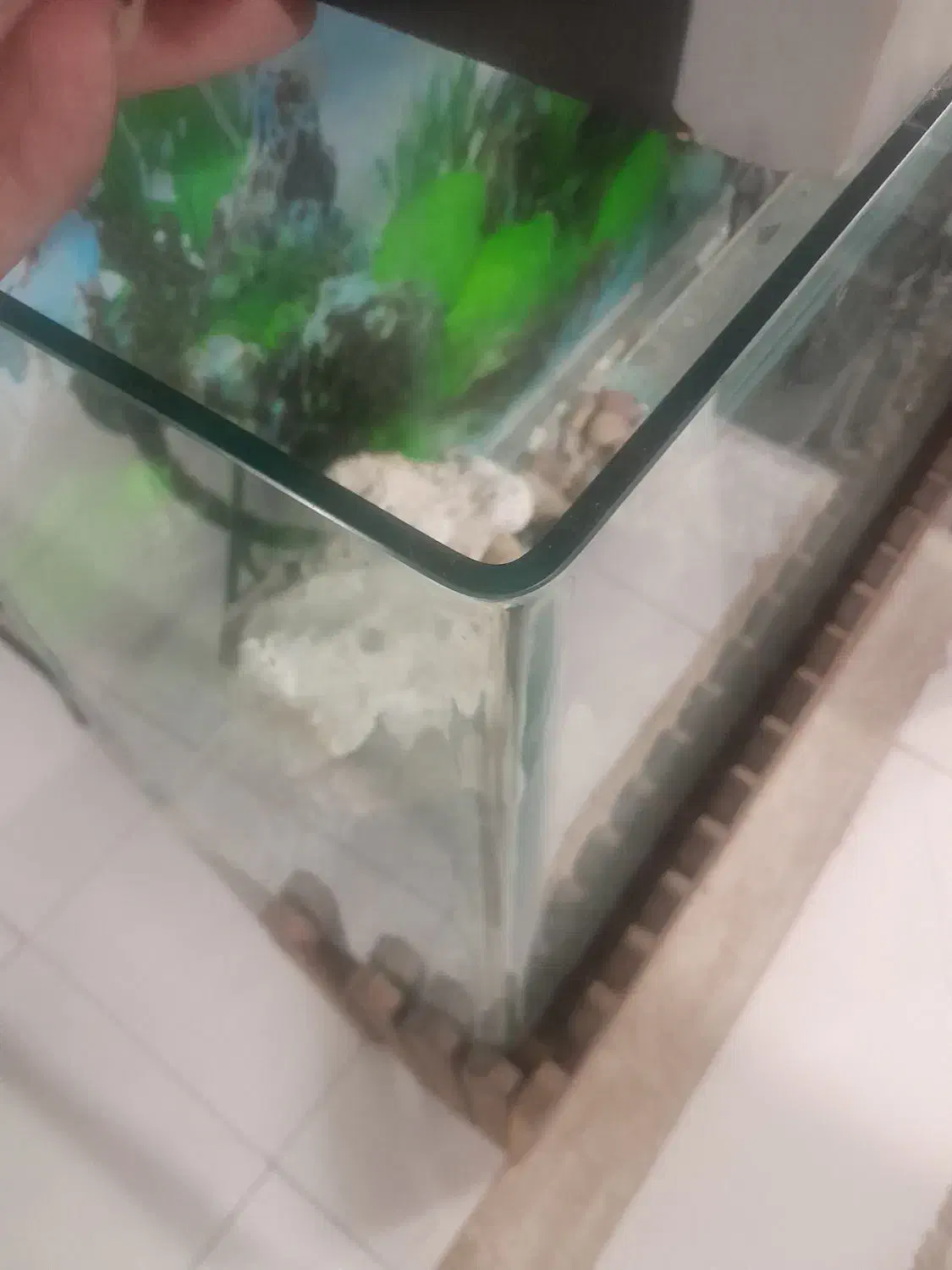 آکواریوم شیشه خم|ماهی|اصفهان, شهرک کاوه|دیوار