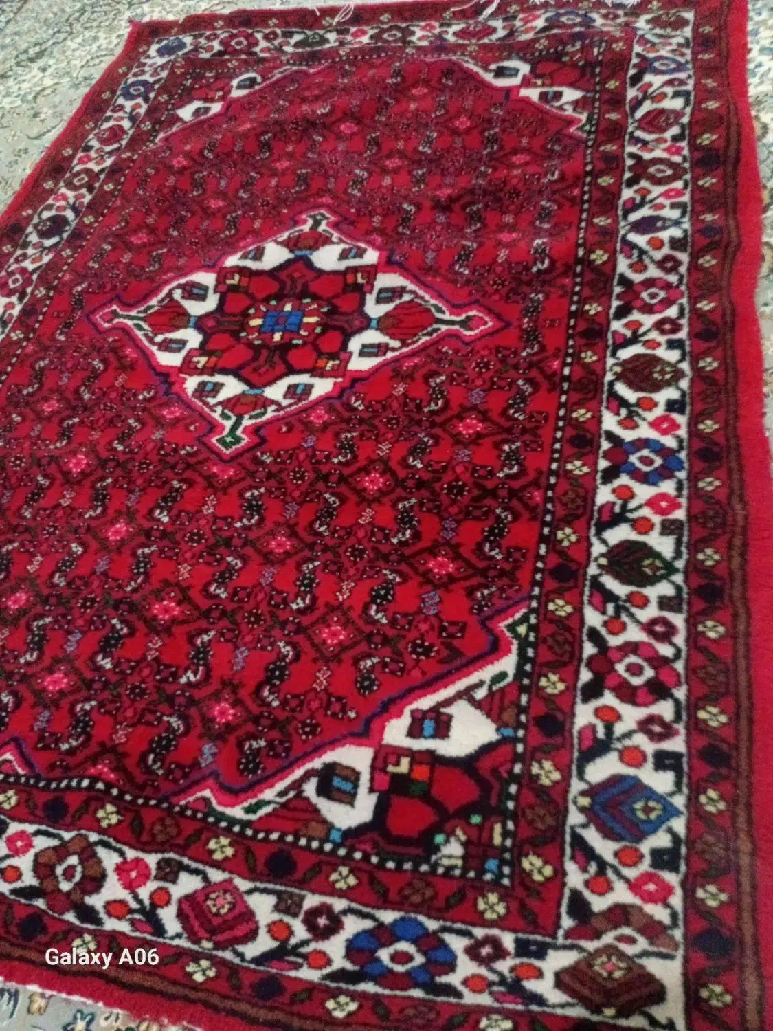 فرش دستباف|فرش|تهران, آرژانتین|دیوار