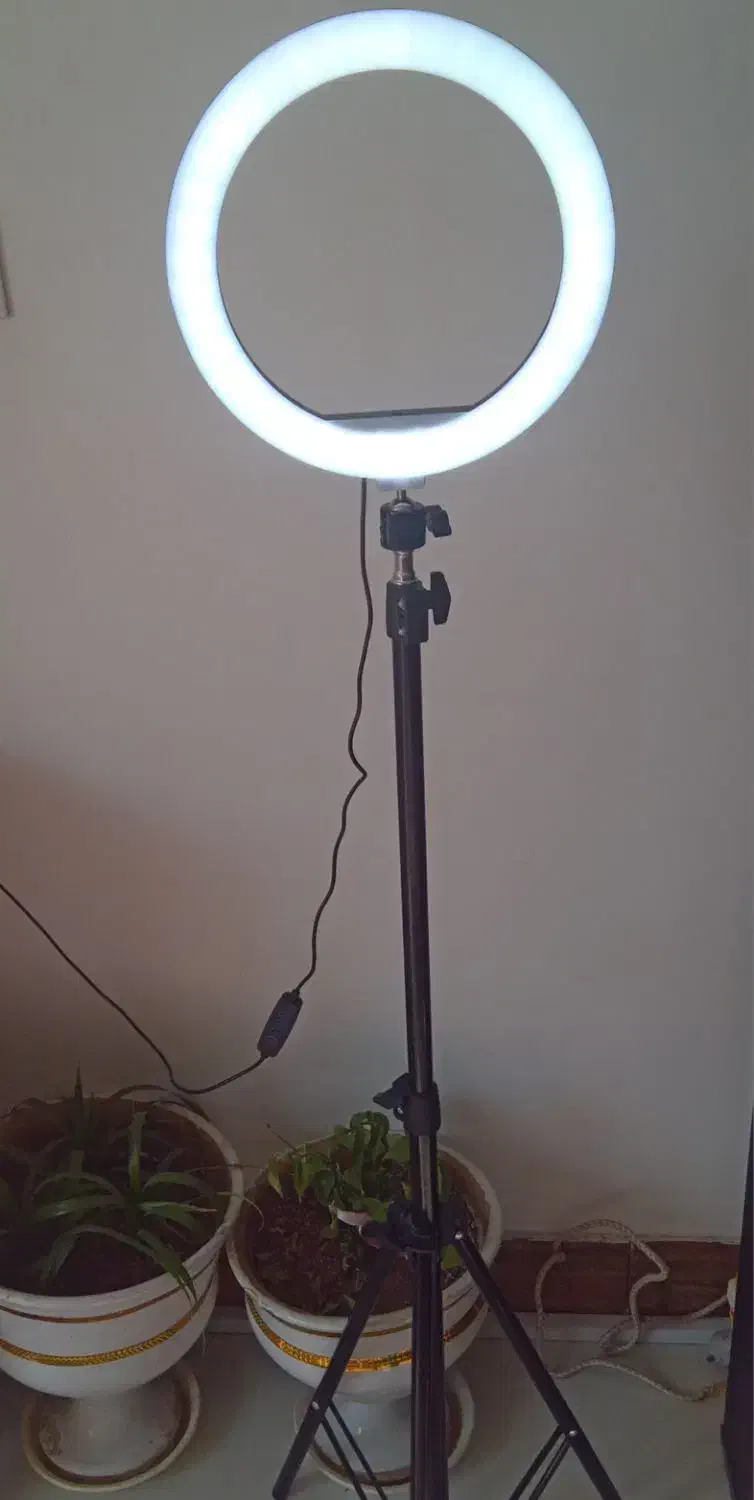 رینگ لایت  ۲۶سانتـی|دوربین عکاسی و فیلم‌برداری|نیشابور, گنبد سبز|دیوار