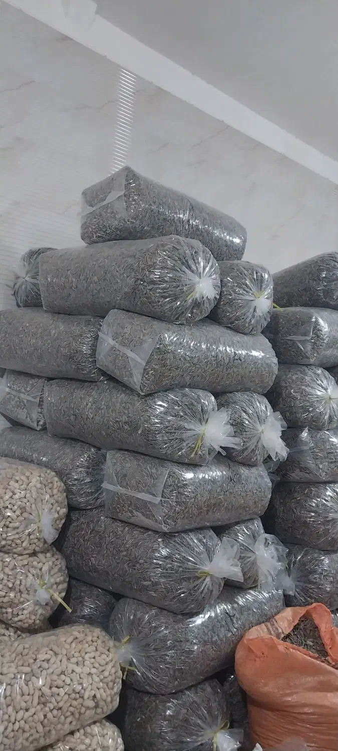 فروش خشک بار|خوردنی و آشامیدنی|رشت, منظریه|دیوار