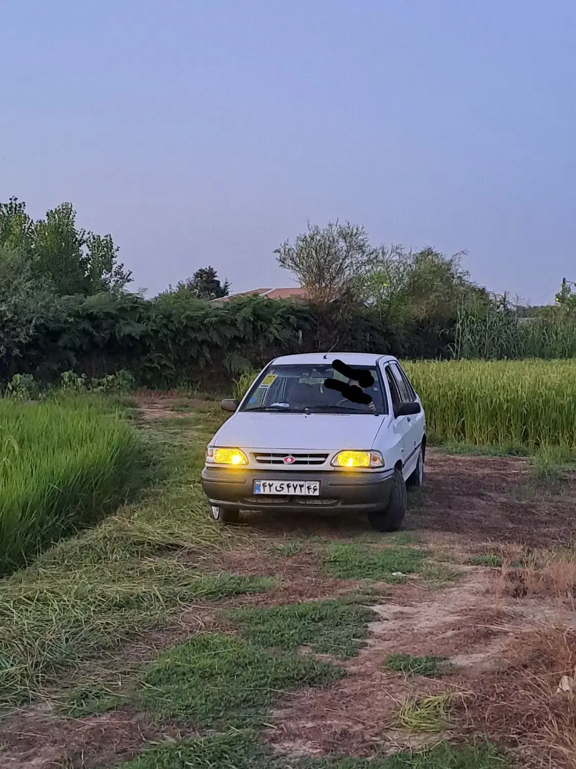 پراید ۸۸|خودرو سواری و وانت|رشت, پیرسرا|دیوار