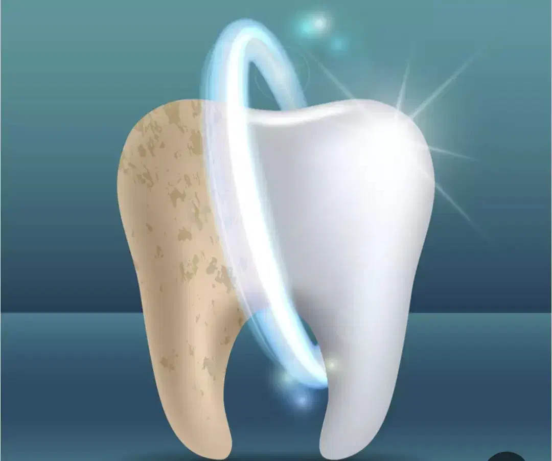 نیرو جهت کار در لابراتوار دندانسازی|استخدام درمانی، زیبایی، بهداشتی|مشهد, شهید بهشتی|دیوار